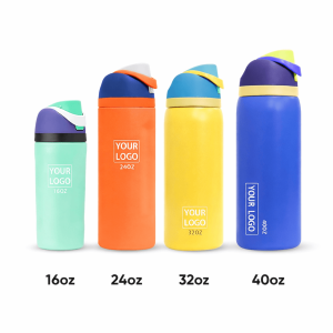 Insulated Stainless Steel Water Bottle with Straw & FreeSip Lid