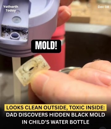 Plastic water bottle filled with mold